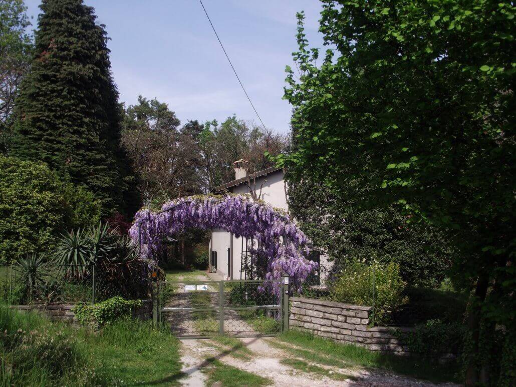 Marco's Kitchen - House in the wood