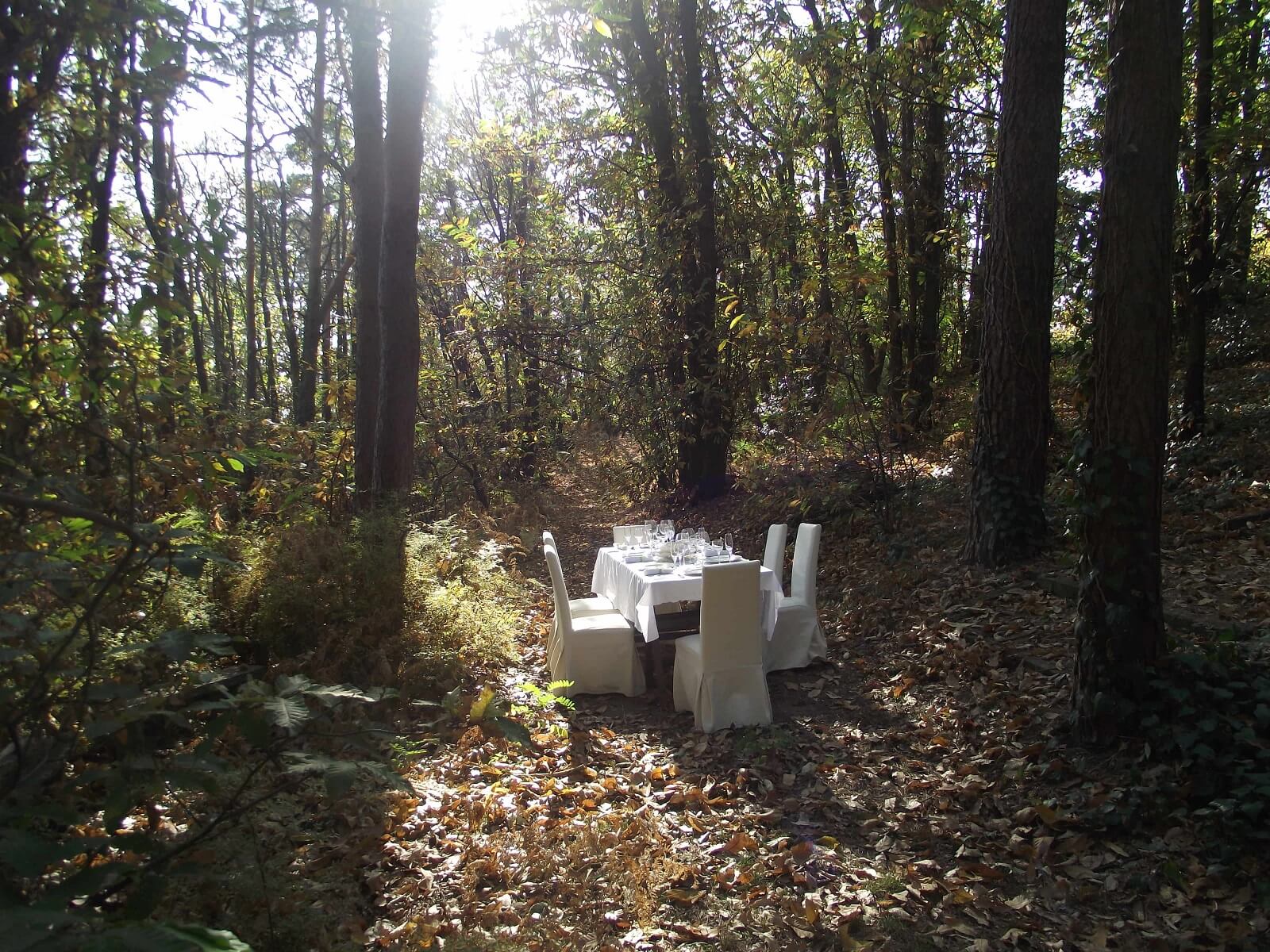 Your table in the wood is waiting!